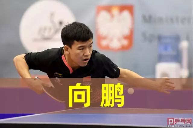 中场的组织 中场的组织